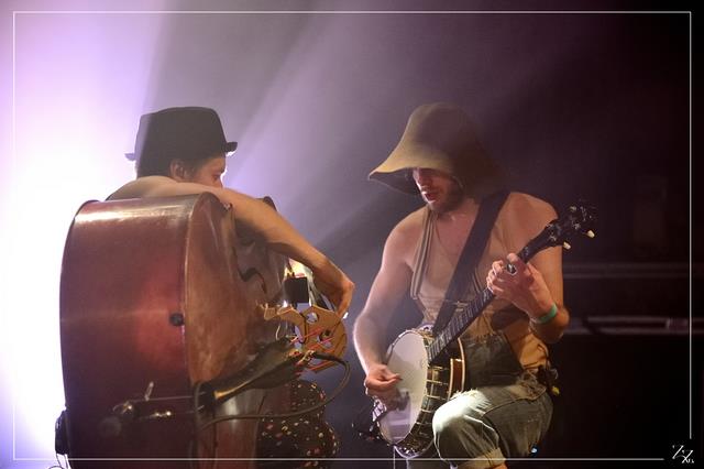 NIK_89488 Steve'n'Seagulls 24-01-2019 (Zz) (p).jpg